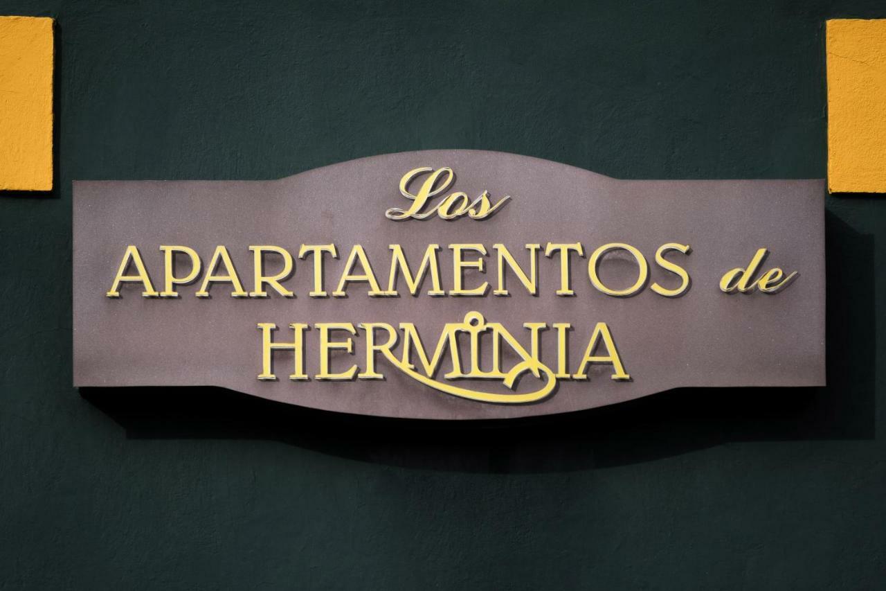Apartamentos De Herminia Manzaneda  Zewnętrze zdjęcie